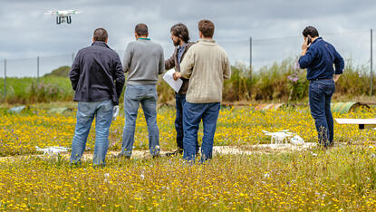 Education &amp; Training